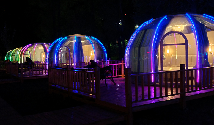 1星空夢星空房245.jpg 1星空夢星空房245.jpg